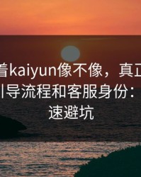 别只盯着kaiyun像不像，真正要看的是支付引导流程和客服身份：1分钟快速避坑