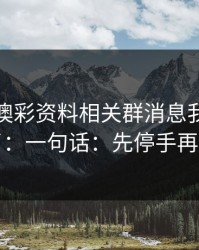 看到新澳彩资料相关群消息我直接警觉了：一句话：先停手再处理