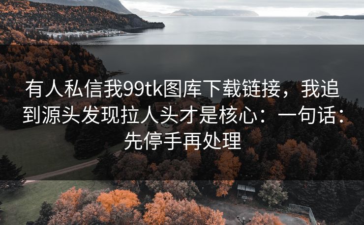 有人私信我99tk图库下载链接,我追到源头发现拉人头才是核心:一句话:先停手再处理 有人私信我99tk图库下载链接,我追到源头发现拉人头才是核心:一句话:先停手再处理