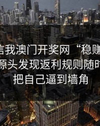 有人私信我澳门开奖网“稳赚”链接，我追到源头发现返利规则随时改：别把自己逼到墙角