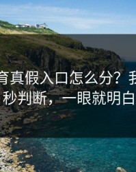 开云体育真假入口怎么分？我做了五秒判断，一眼就明白