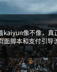别只盯着kaiyun像不像，真正要看的是页面脚本和支付引导流程