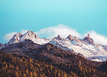 别只盯着云开体育像不像，真正要看的是安装权限提示和支付引导流程