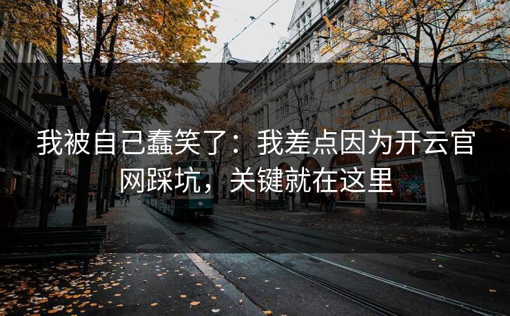 我被自己蠢笑了：我差点因为开云官网踩坑，关键就在这里