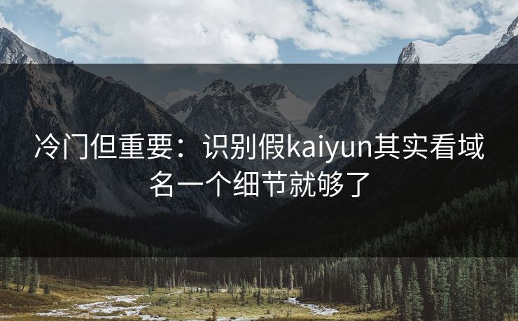 冷门但重要：识别假kaiyun其实看域名一个细节就够了